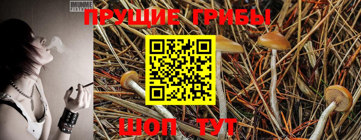 Псилоцибиновые грибы ЛСД Кириши